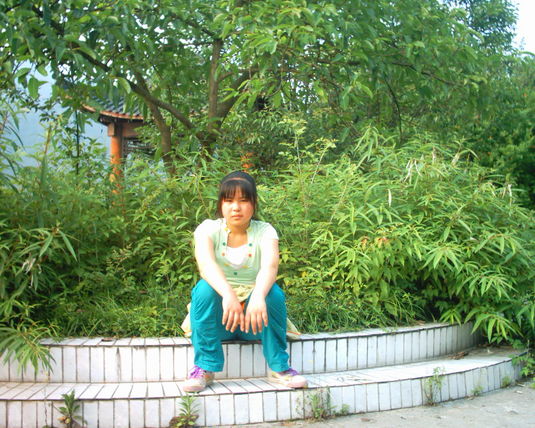 2006  (28)